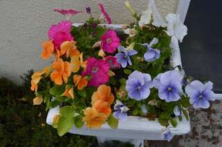 Отели типа «постель и завтрак» Glenhill B&B Уэксфорд-6